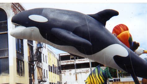 killer whale balloon